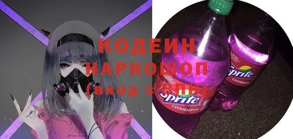 спиды Горняк